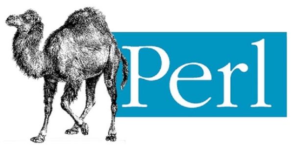 Using Perl to Execute Remote Commands